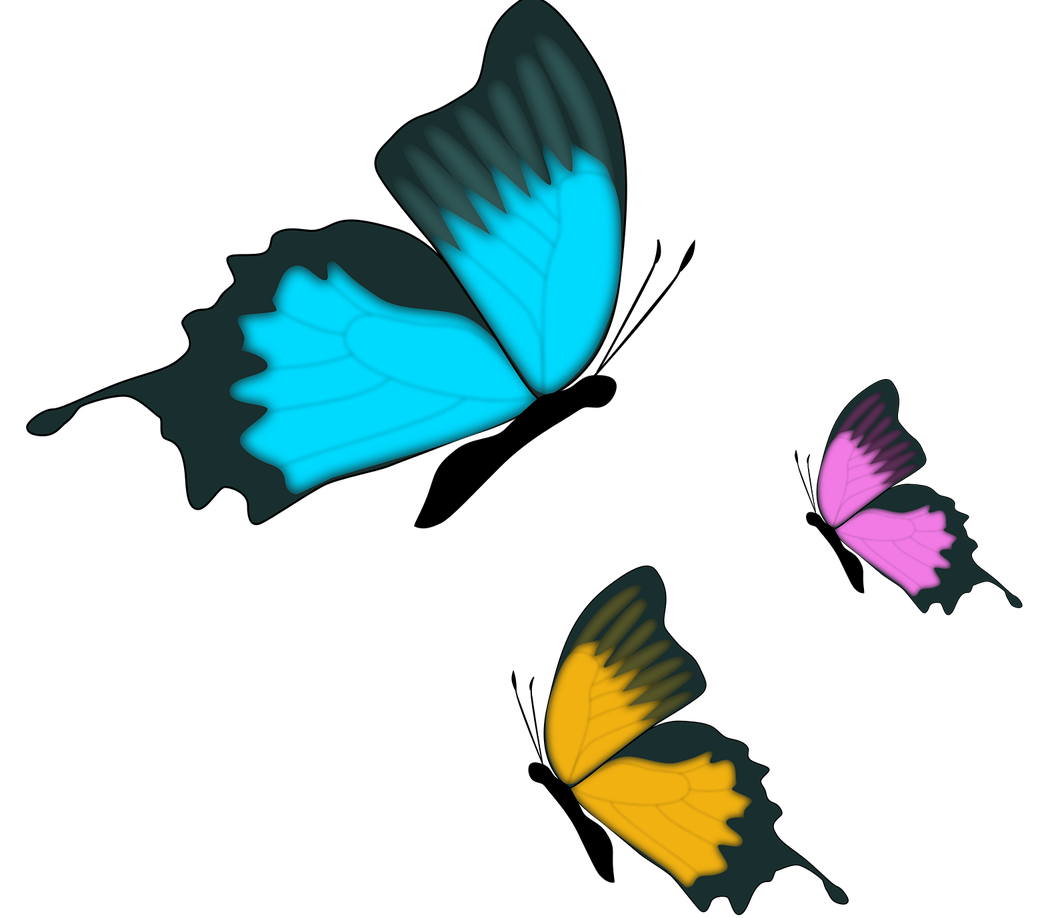 Butterfly 1295496 1280