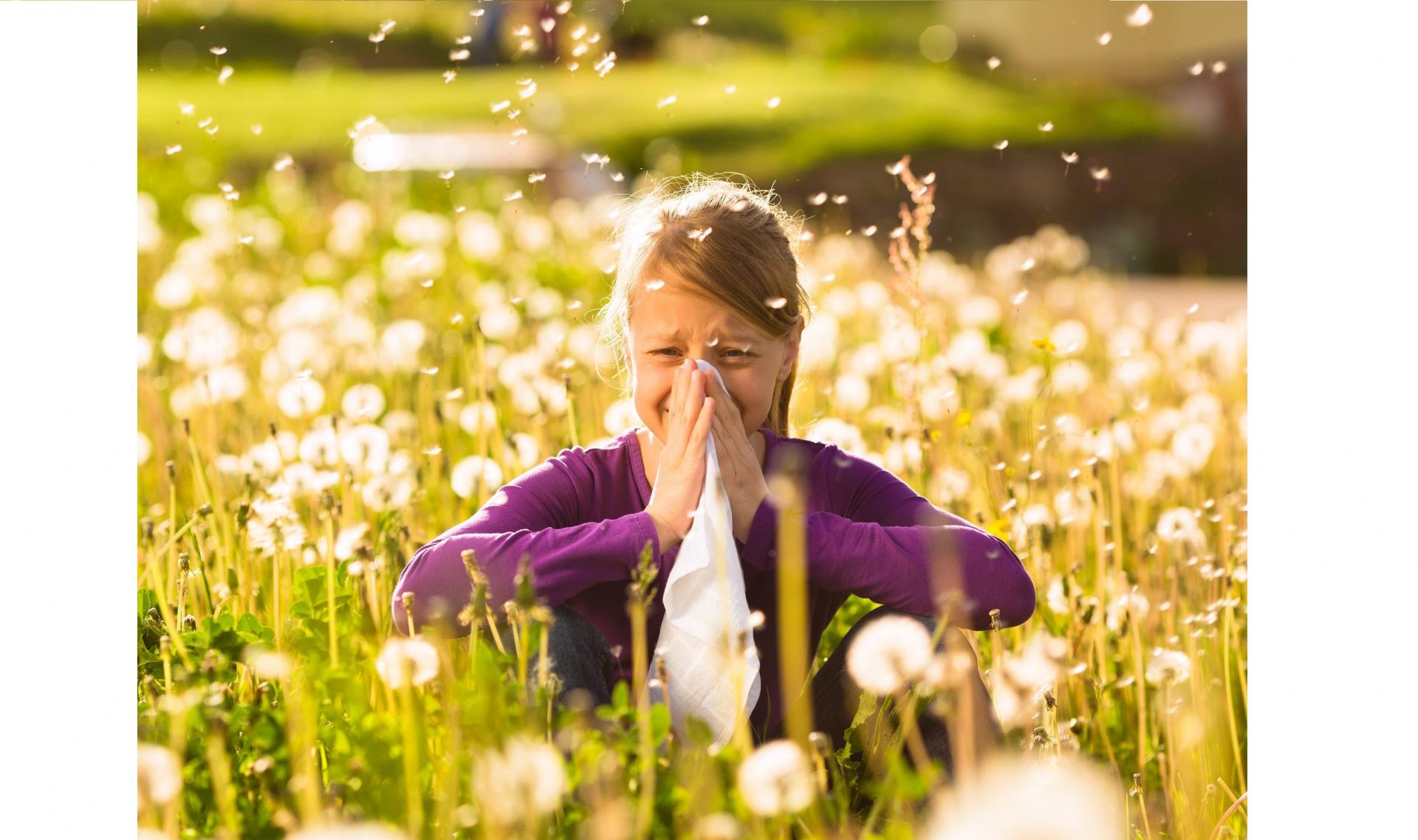 Presse allergie alerte mini 2