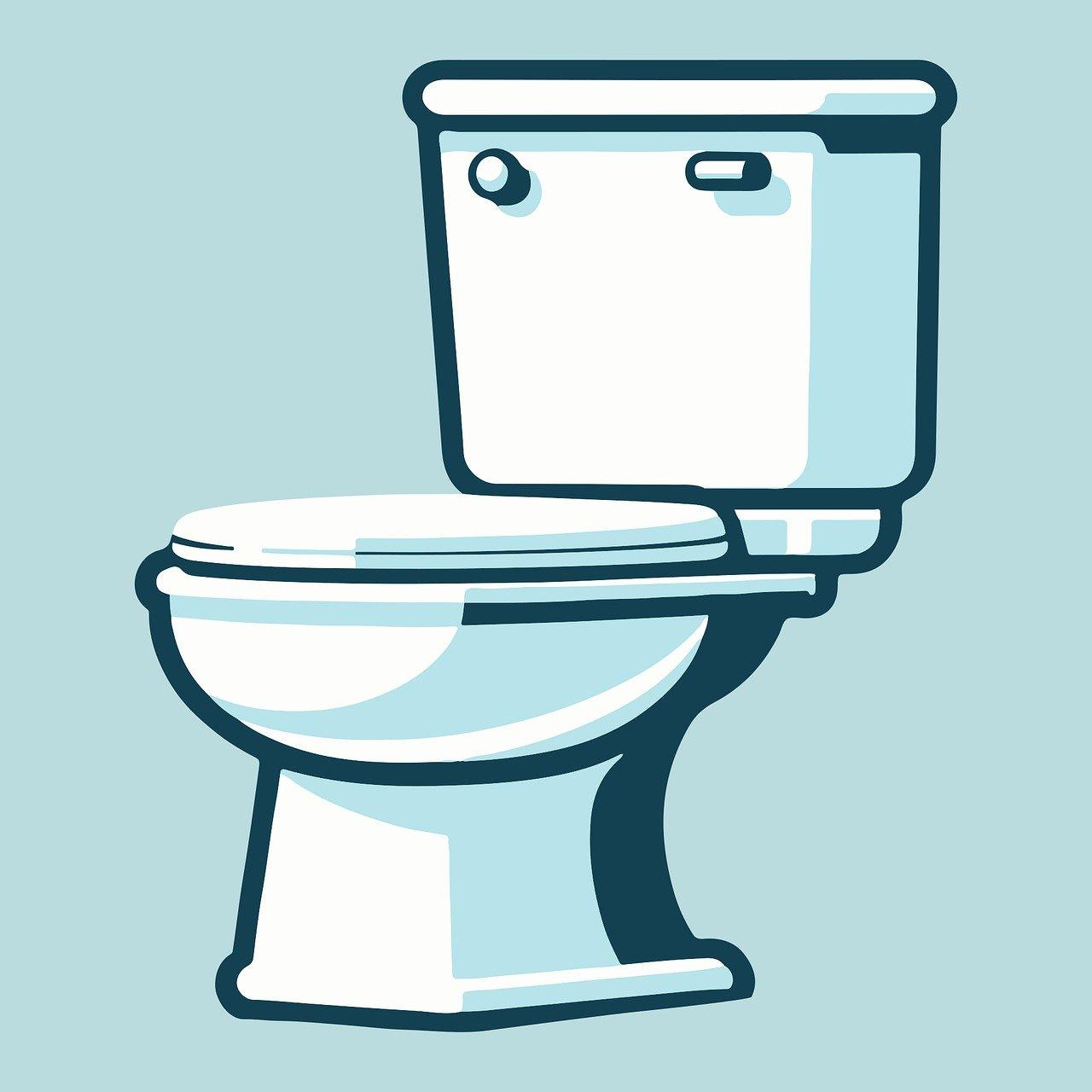 Toilet 8584094 1280